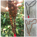 Wholesale Assorted set of 5 Tibetan Buddhist Tear of Lord Shiva Beads Necklace Or Bracelet - $60.00